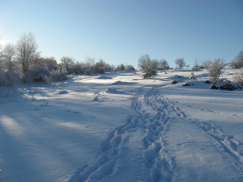 Holiday Home Lana Saborsko ภายนอก รูปภาพ
