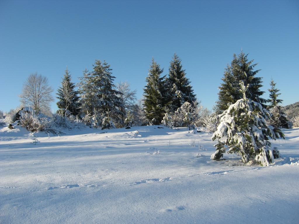 Holiday Home Lana Saborsko ภายนอก รูปภาพ